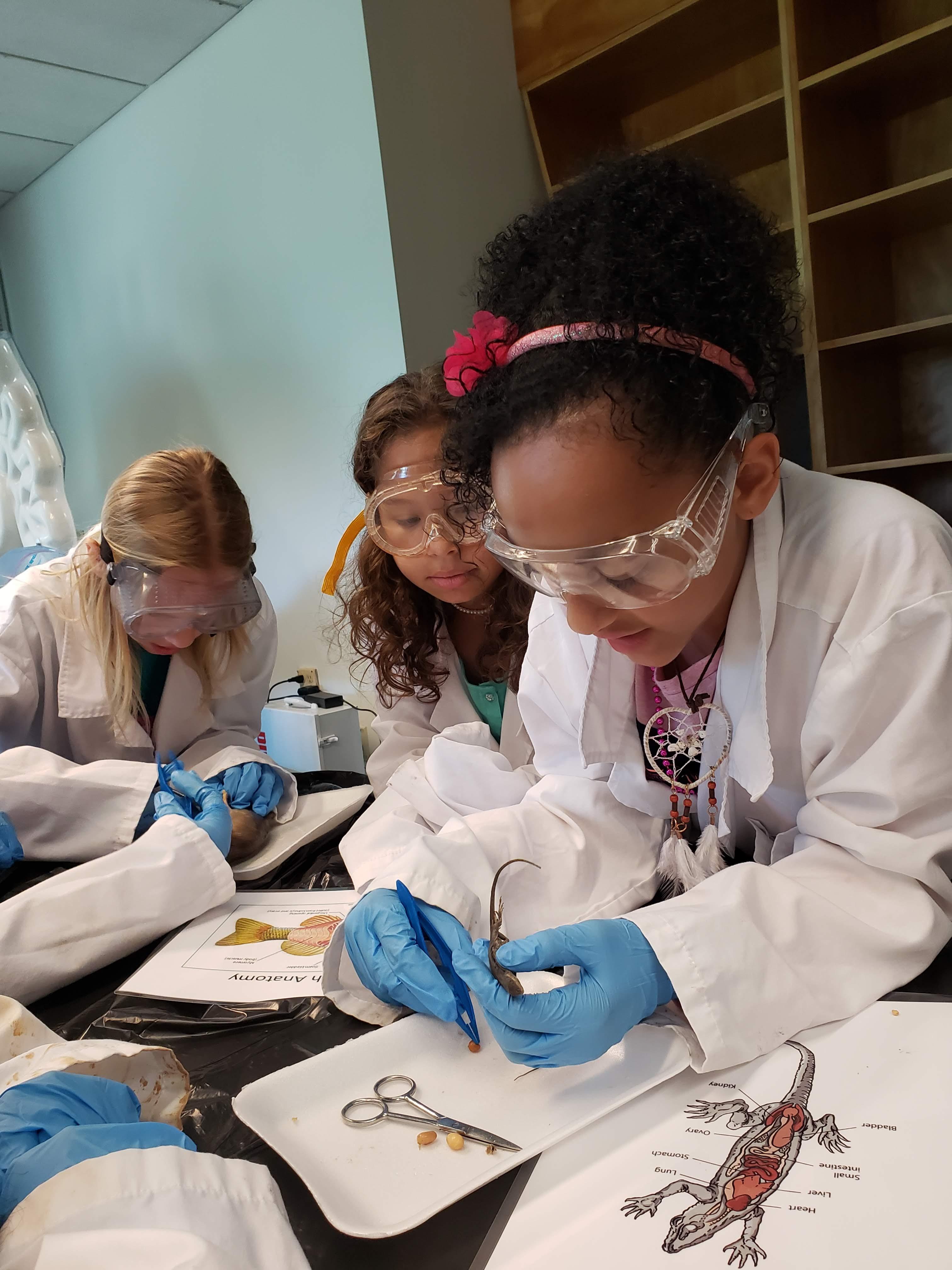 SRP Offers Story Ideas for International Day of Women and Girls in Science