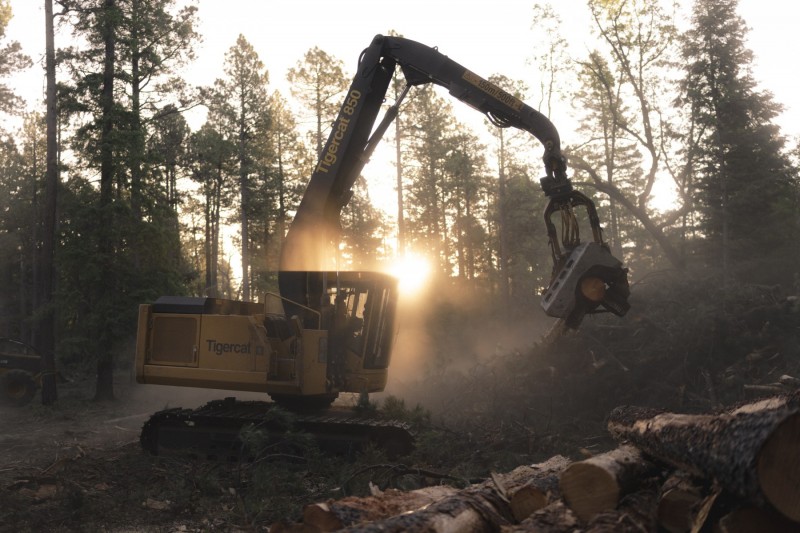 Baker Thinning Project HFI (6)