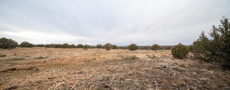 Hardscrabble Thinning Project Feb. 2022