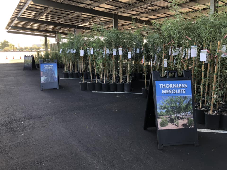 Spots Still Open SRP’s 2023 Shade Tree