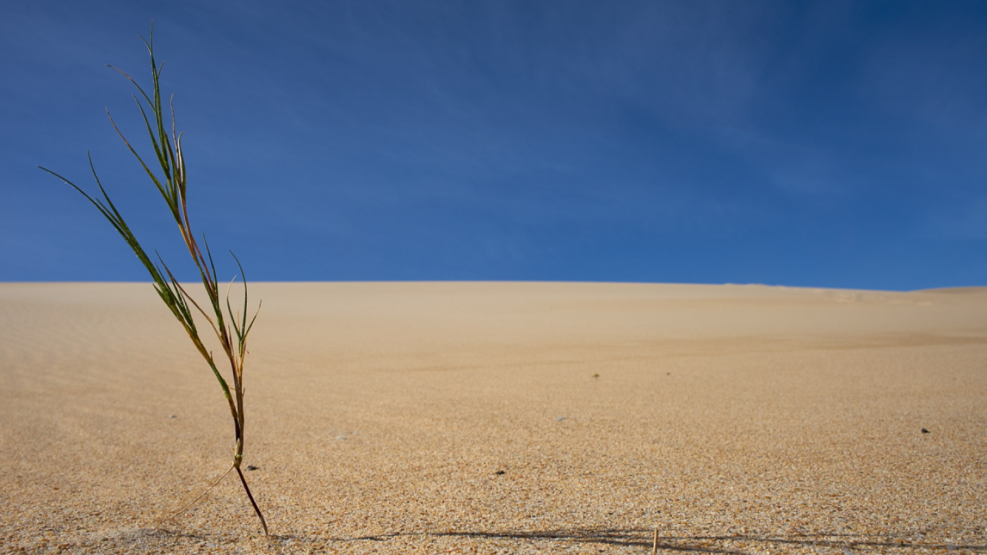 Presentation of the Europe Report of the Lancet Countdown on health and