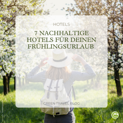B2C-Blogcover-Mini-Frühling1