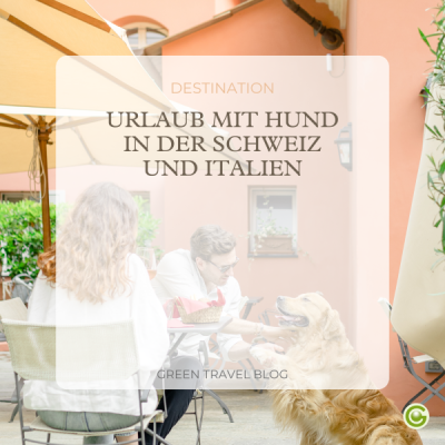 b2c-newsletter-hundeurlaub-mini-cover-3
