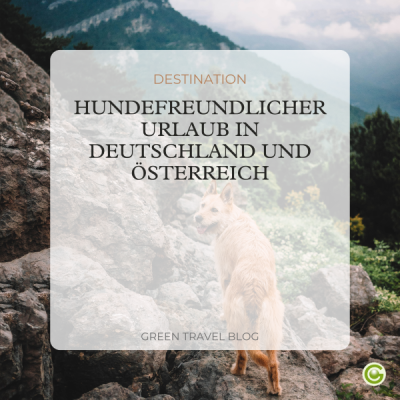 b2c-newsletter-hundeurlaub-mini-cover-1