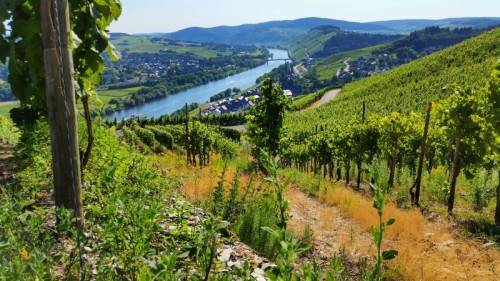 LIFESTYLE Resort ZUM KURFÜRSTEN