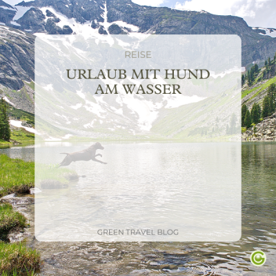 b2c-newsletter-hundeurlaub-mini-cover-5