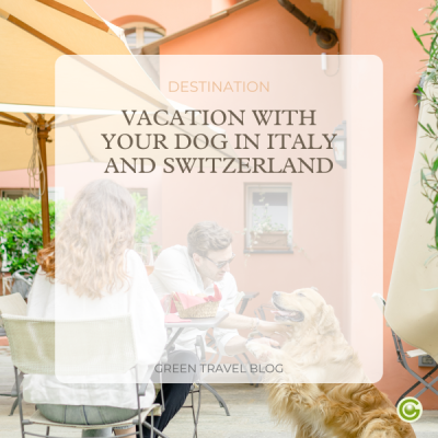 b2c-newsletter-hundeurlaub-mini-cover-4
