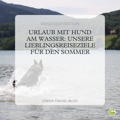 B2C-newsletter-blog-cover-mini-3