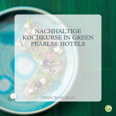 b2c blog cover kochkurse 3