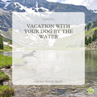 b2c-newsletter-hundeurlaub-mini-cover-6