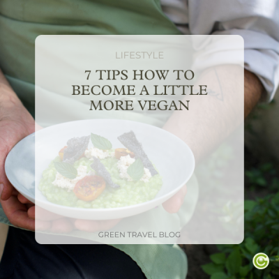 Blog-cover-b2c-vegan-travel-6