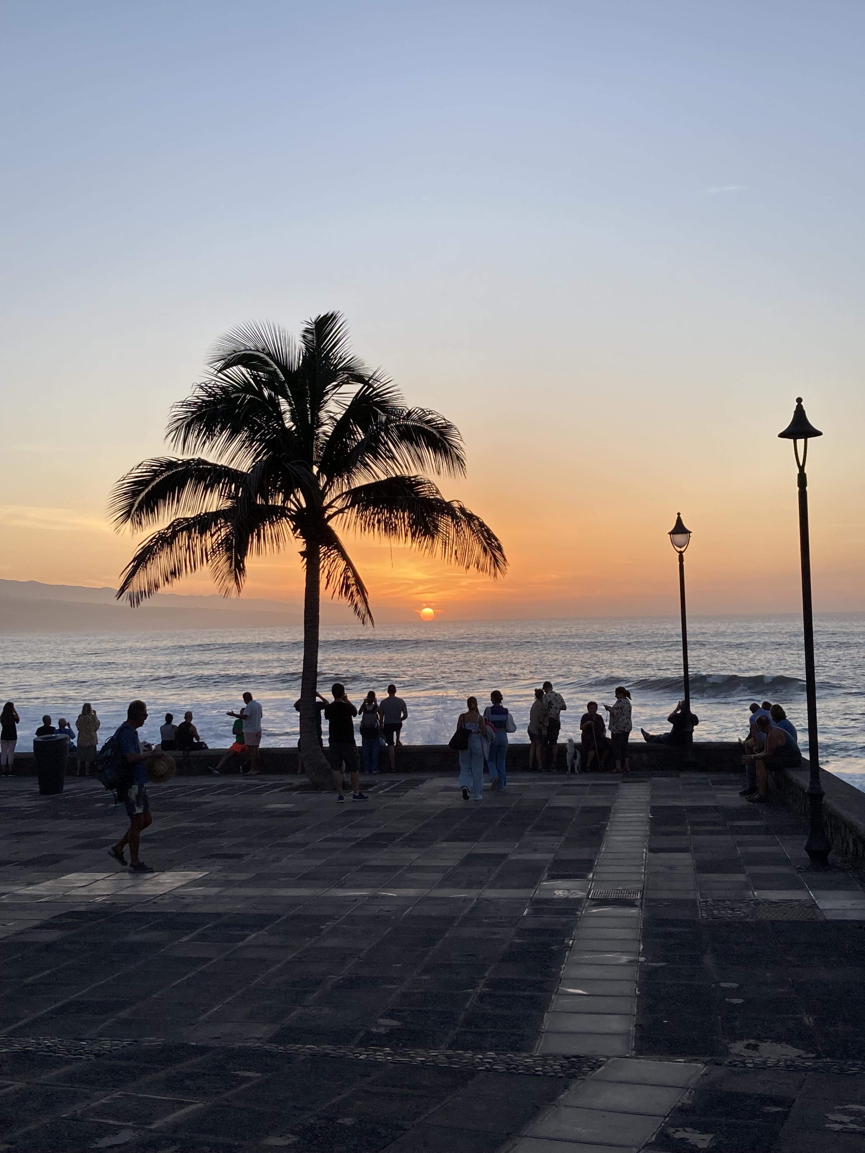 Sustainable Insider Tip for the Summer: Tenerife's North