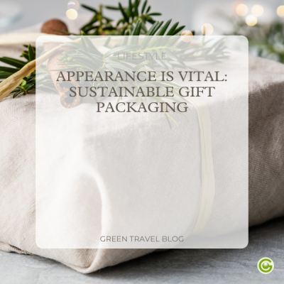 B2C Blog Cover Christmas 6