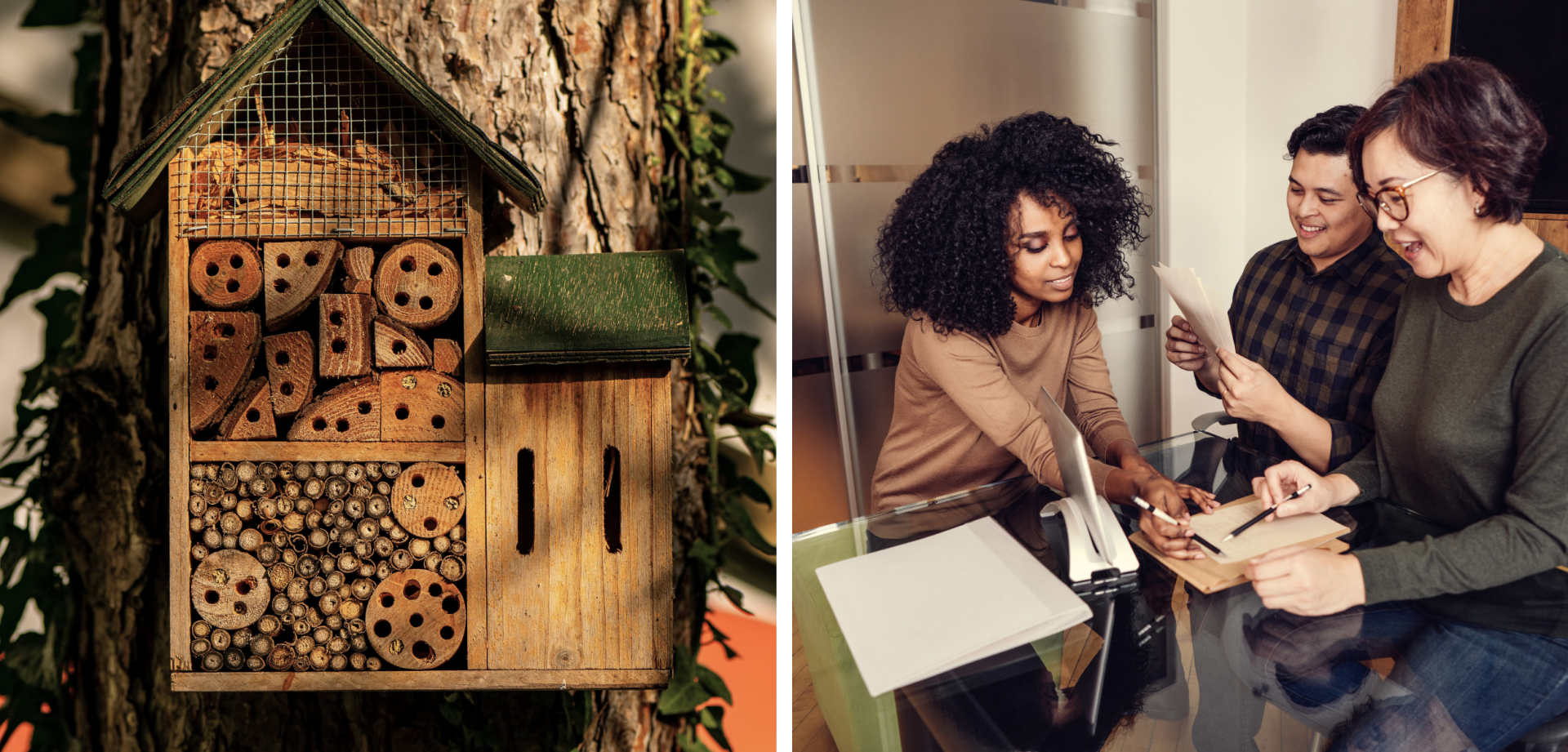 sustainability manager in hotels