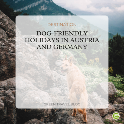 b2c-newsletter-hundeurlaub-mini-cover-2