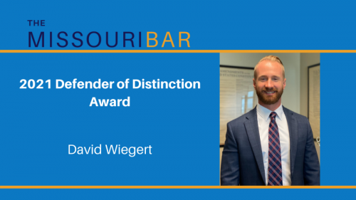 Defender of Distinction 2021 David Wiegert