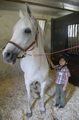 HSS Adaptive Sports Academy at Endeavor Therapeutic Horsemanship in Mount Kisco - David in stable with horse