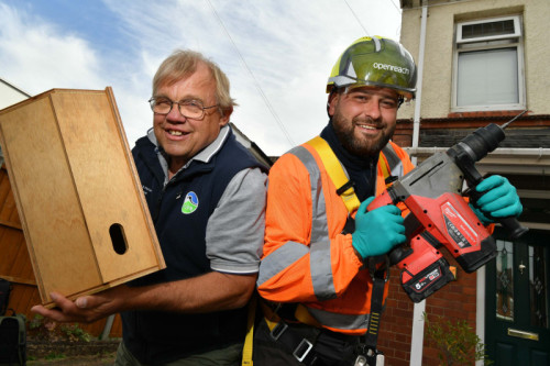 bird-box-2.jpg