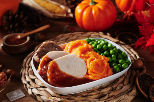 Observances - Thanksgiving 2023 in Economy Class