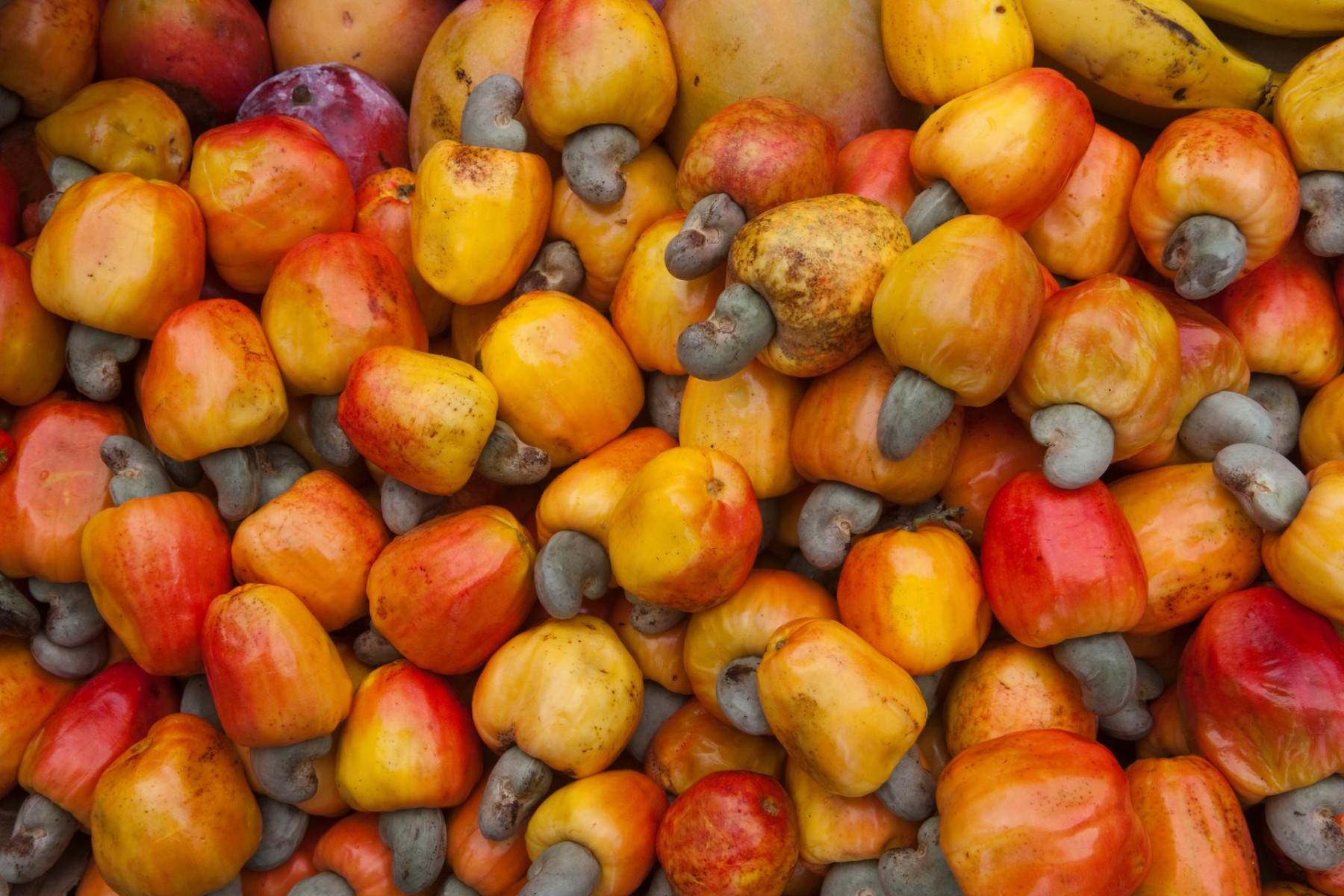 Fleete Dedicated EV Charging Hub for Commercial Fleets at Port of Tilbury