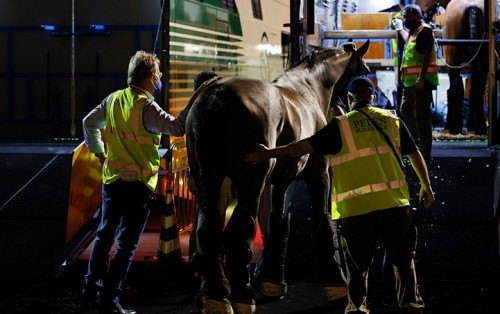 Emirates SkyCargo July Flying Champion Horses