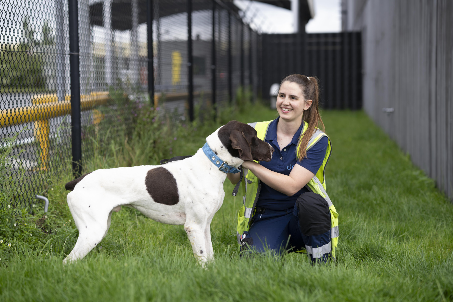 dnata continues to ensure a safe and smooth journey for animals in Amsterdam