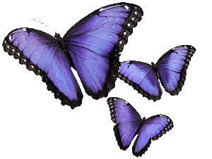 Butterflies