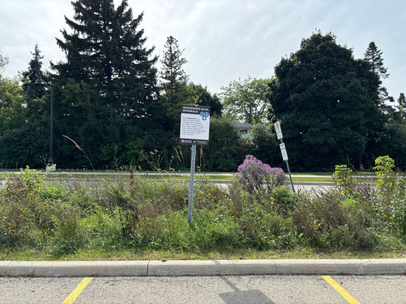 bioswale at Fennell Campus