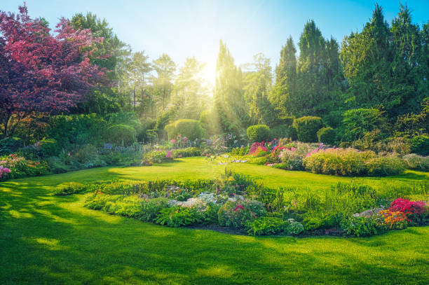 H&S lawn and garden safety