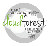cloudforest