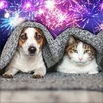 H&S Pets anf Fireworks