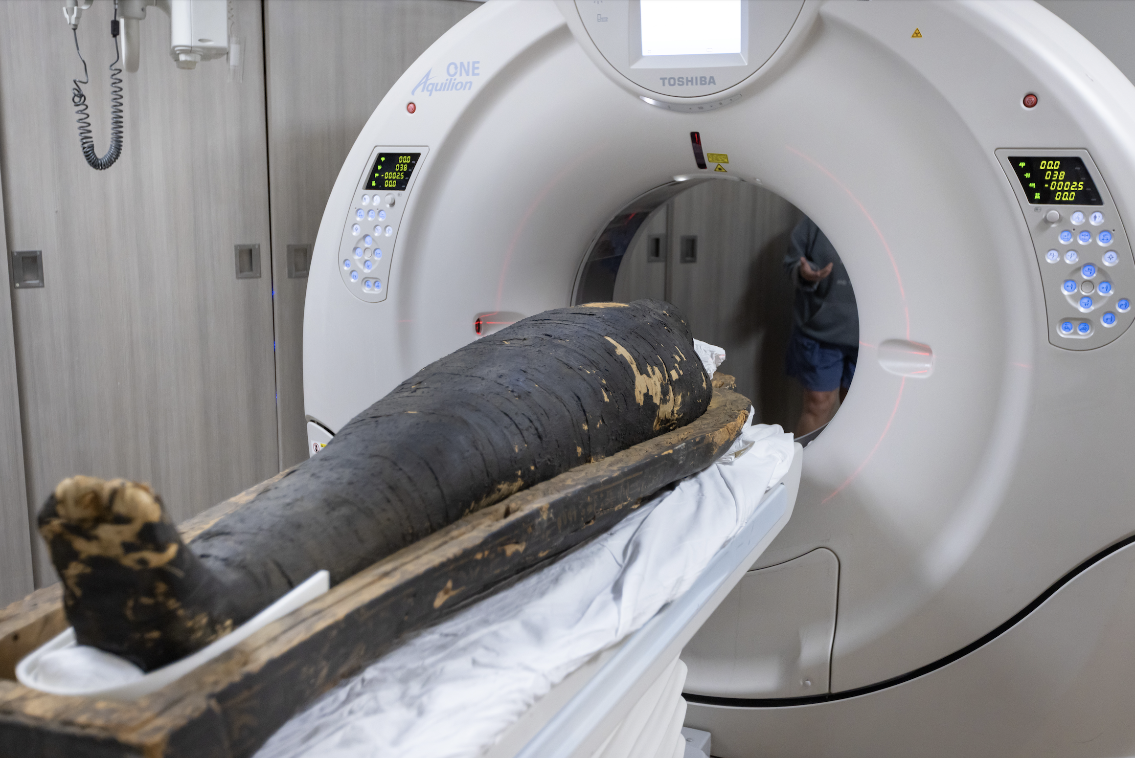 CT scans unwrap secrets of ancient Egyptian life