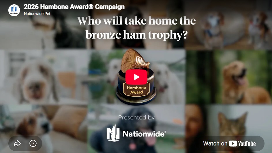 hambone video preview