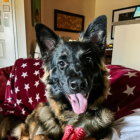 General Chaos (Hercules, CA)