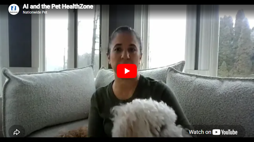 Pet HealthZone and AI 