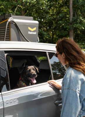 Fastned Summer