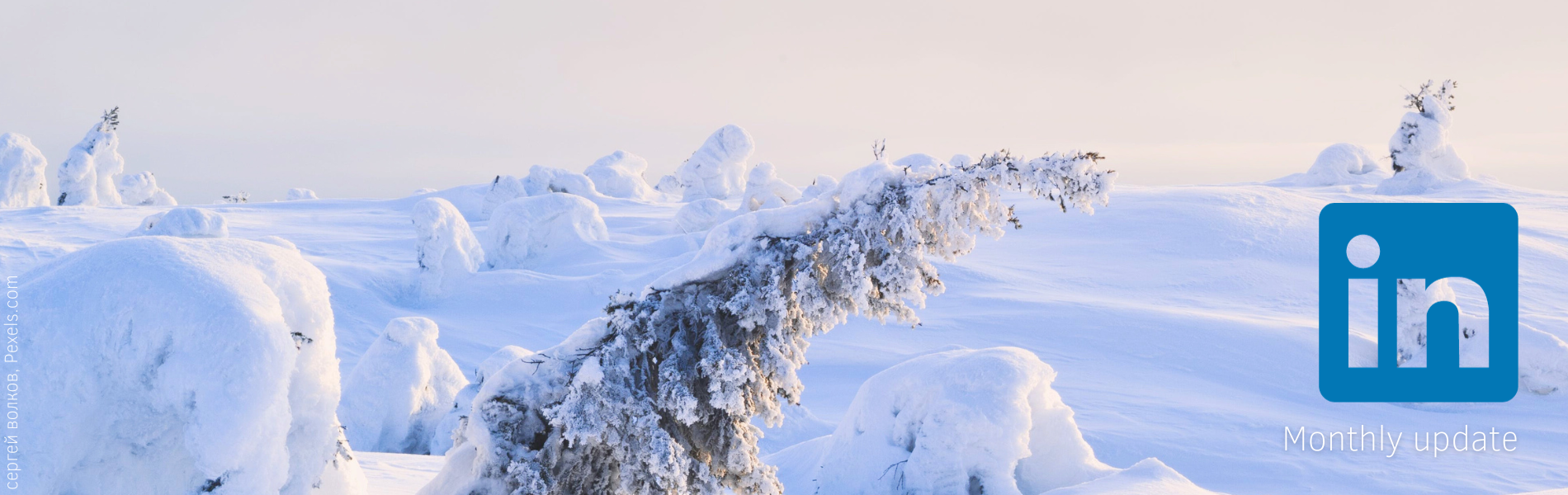 LinkedIn algorithm secrets, what works best