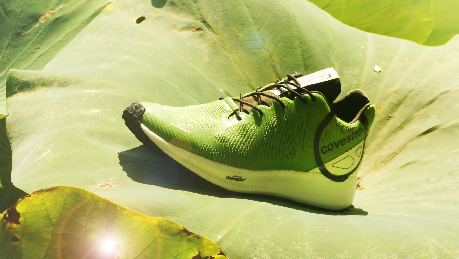 20240923_Recyclable-Shoe