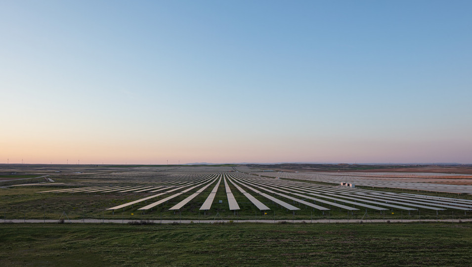 20230705_Vendimia Solar_bp