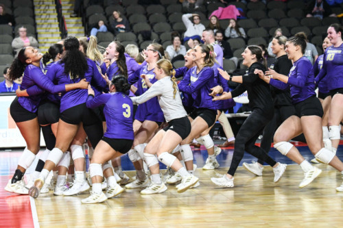 Bellevue University Volleyball Earns AVCA Team Academic Award for the 13th Time