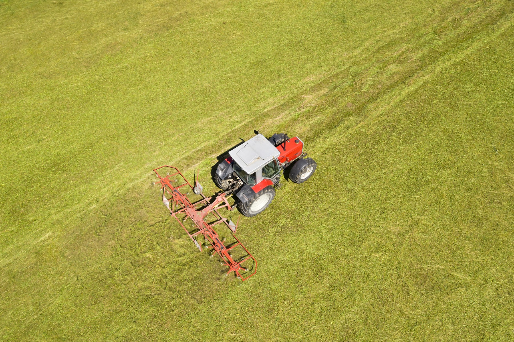 Aerial view of tractor with rotary rake rowing hay