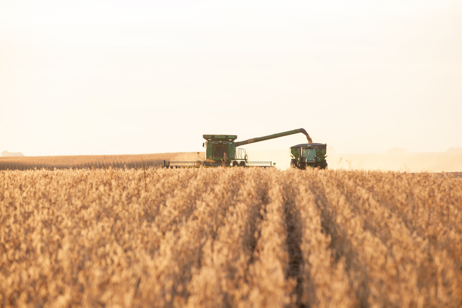 Combine Harvester Unloading into Grain Cart