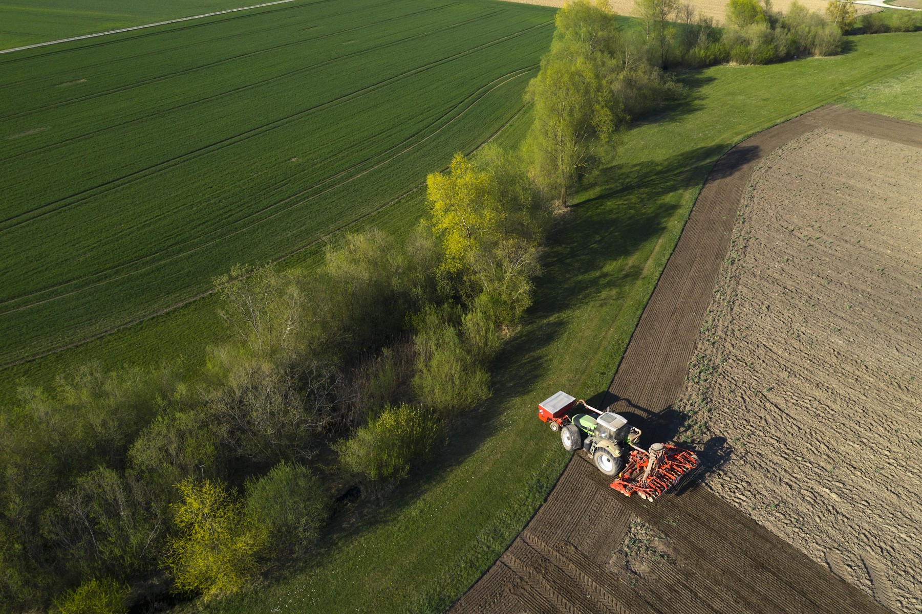 Tractor sowing the field in spring
