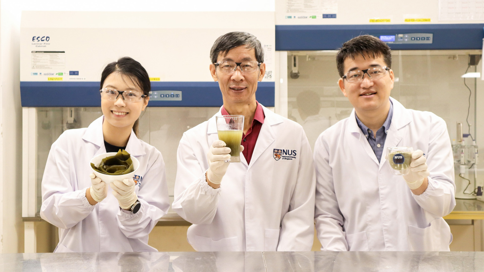 Healthier, tastier kelp: NUS food scientists boost nutrition and flavour of kombu