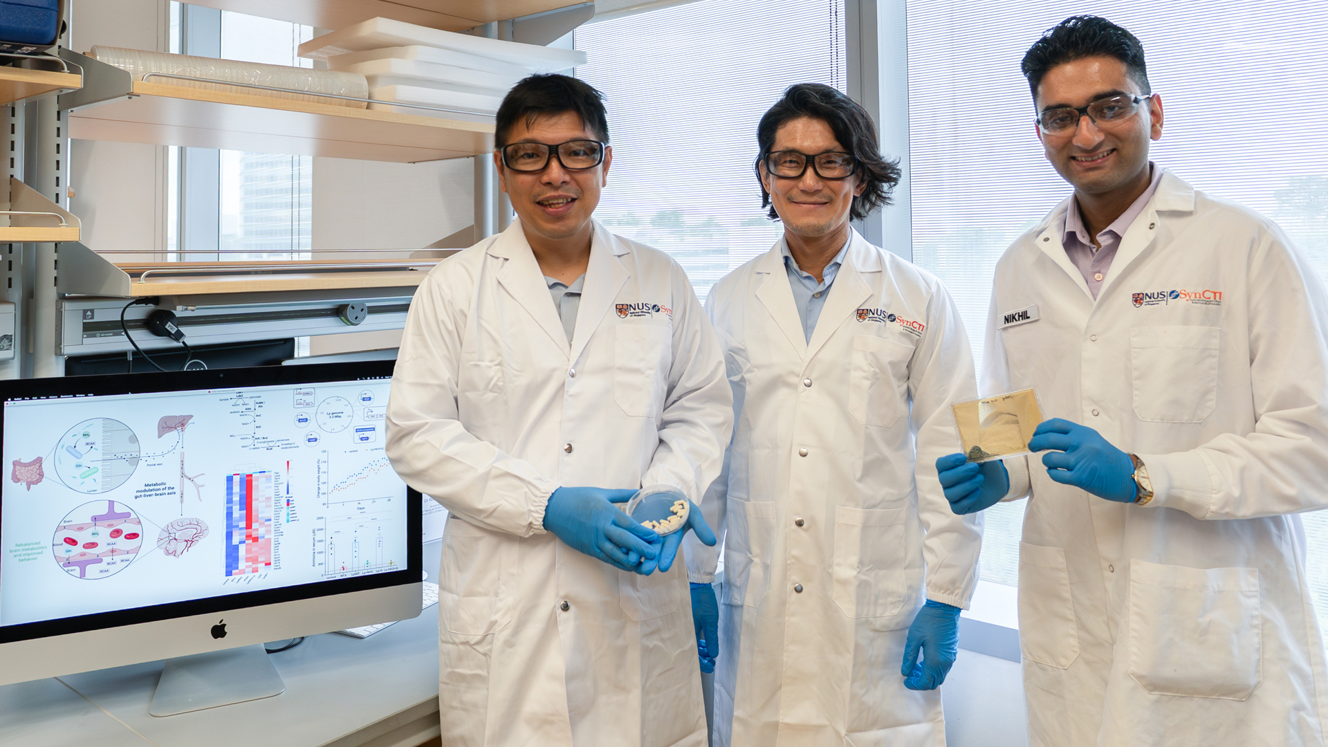 From gut to brain: NUS scientists engineer bacteria to treat severe ...