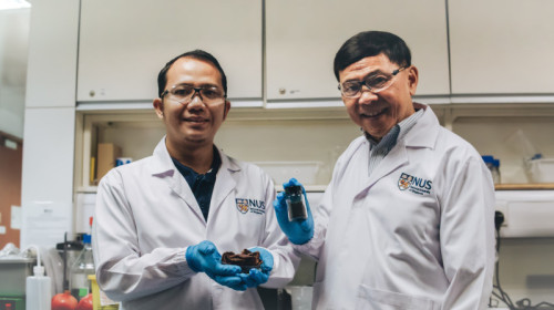 NUS researchers upcycle pomegranate peel into high-performance water purifier