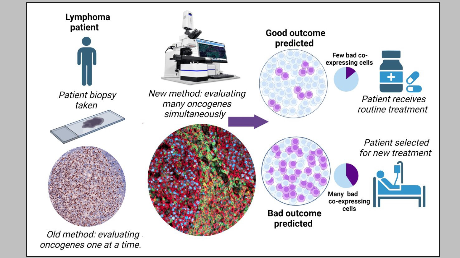 2023 0714 Novel approach for predicting resistance against cancer therapy 02