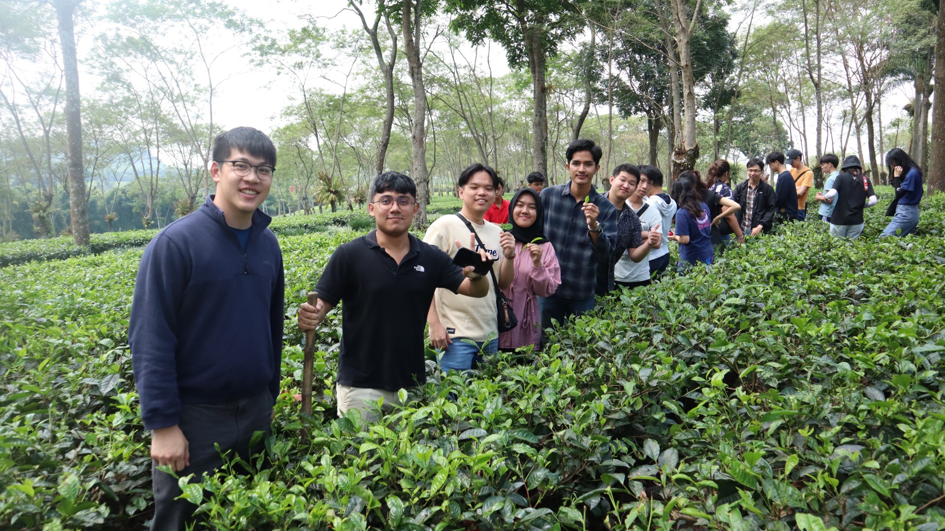 Intern Tea Making Southeast Asia Friendship Initiative: Advancing sustainability through ...