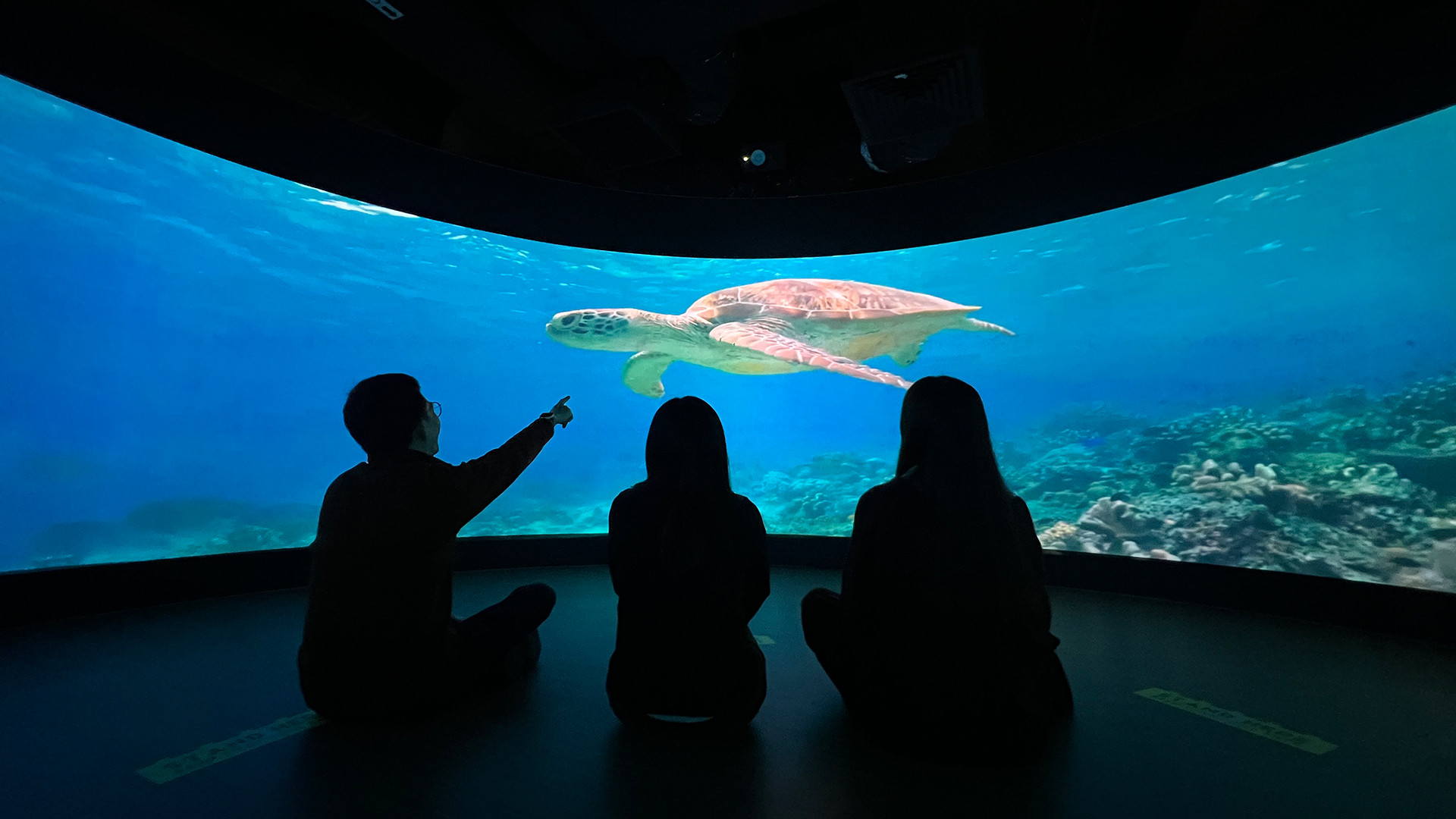 Virtual field trip project clinched Bronze accolade at QS Reimagine  Education Awards