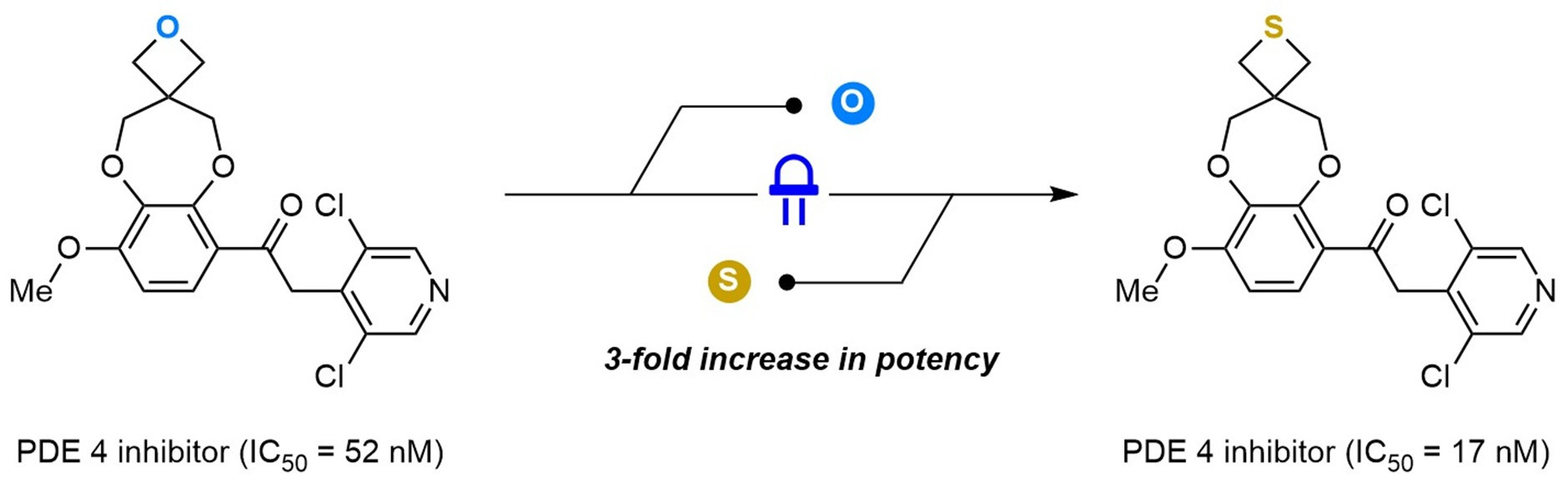 原子置換の青写真が創薬を革新(Atom-swapping blueprint revolutionises drug synthesis)